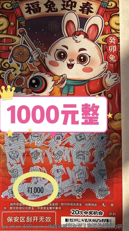 体育彩票对老年人群体的吸引力研究